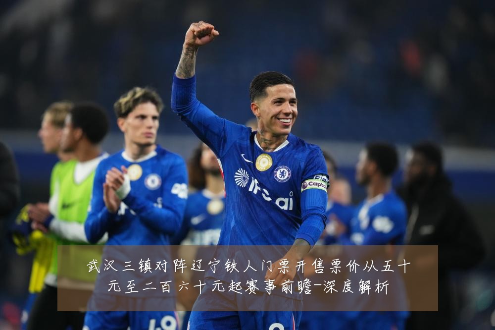 武汉三镇对阵辽宁铁人门票开售票价从五十元至二百六十元起赛事前瞻-深度解析